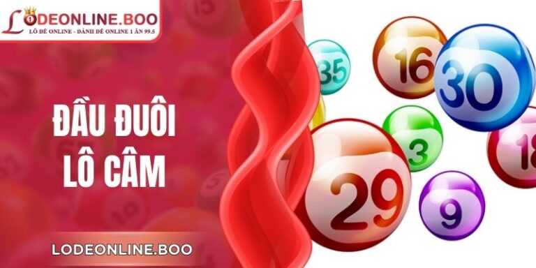 Đầu Đuôi Lô Câm Là Gì? Cách Hiểu Đúng, Rất Dễ Áp Dụng