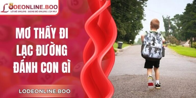 Mơ Thấy Đi Lạc Đường Đánh Con Gì - Liên Hệ Với Con Số
