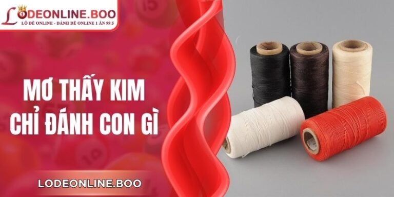 Mơ Thấy Kim Chỉ Đánh Con Gì Để Thắng Lớn Từ Chuyên Gia