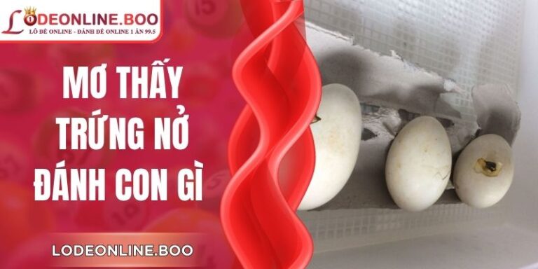 Mơ Thấy Trứng Nở Đánh Con Gì Theo Từng Tình Huống Cụ Thể